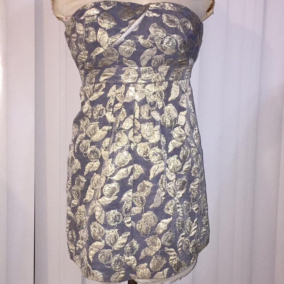 Tibi Strapless Dress